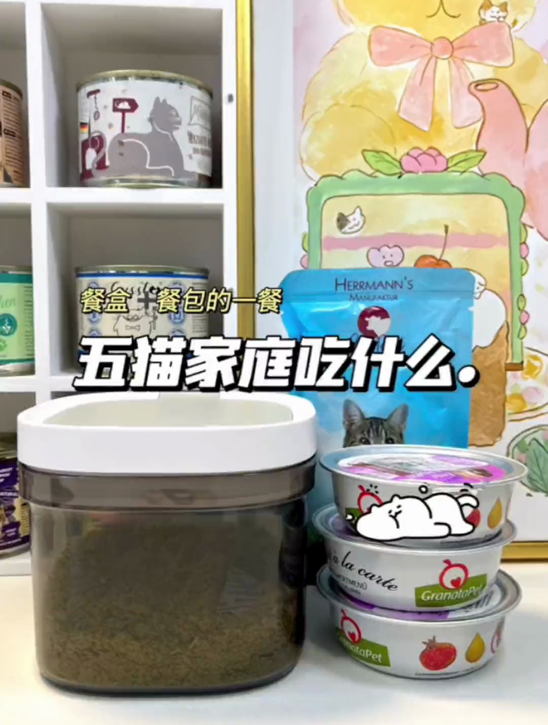 五猫家庭吃什么:泡芙好像是那个仙人,每天都拍不到她吃饭