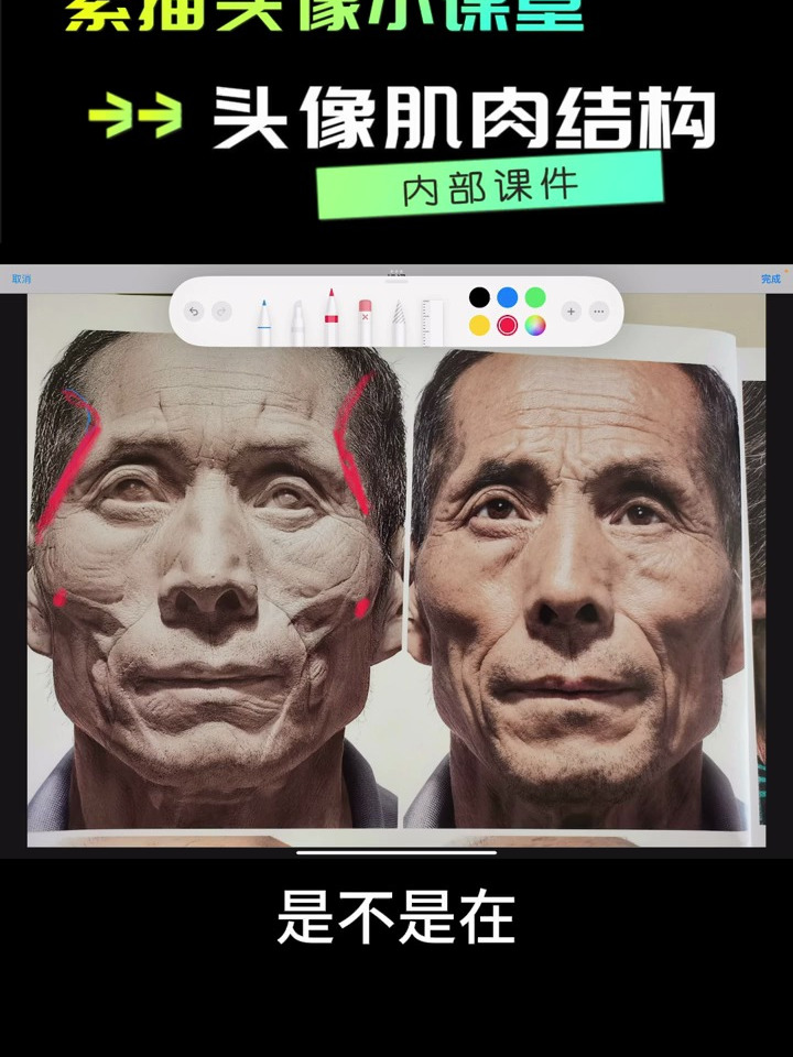 素描小课堂|美术生素描头像肌肉结构