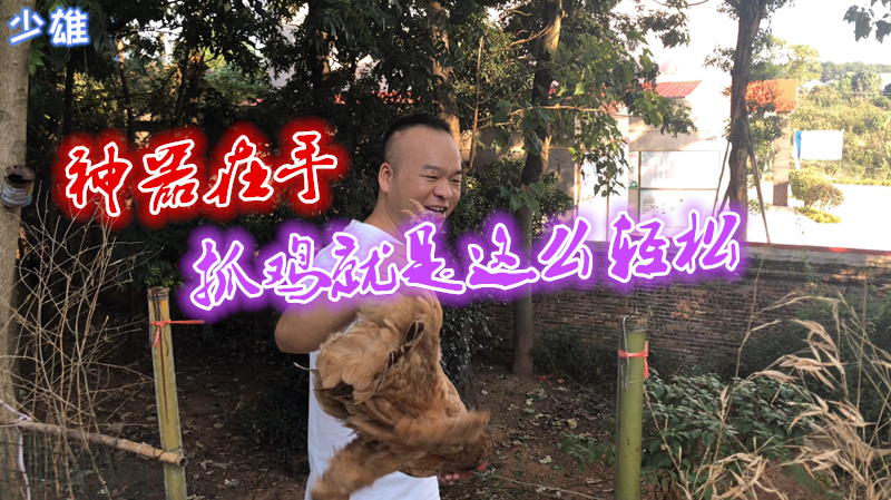 小伙自制抓鸡神器,轻轻松松一抓一个准,再也不用满山追了
