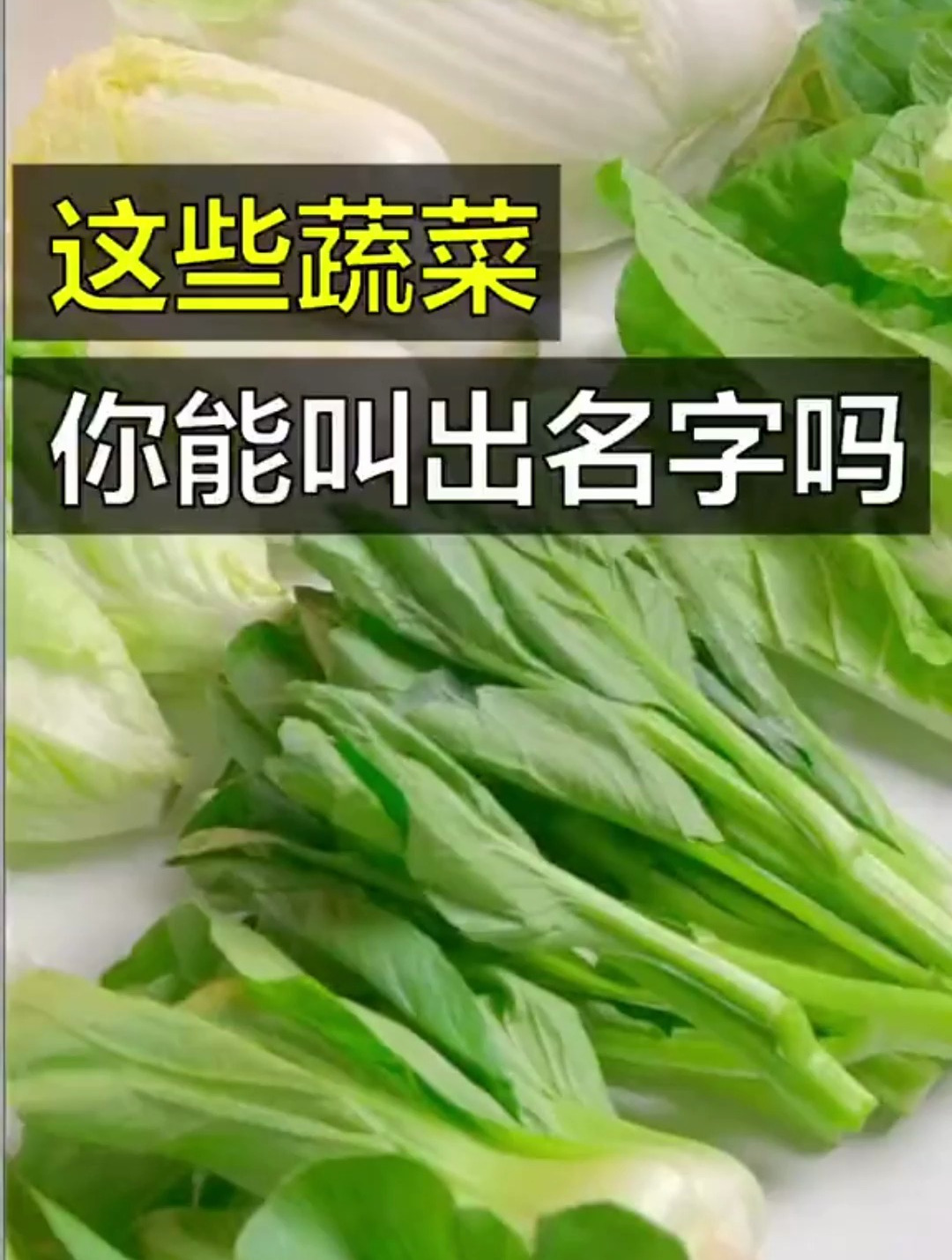 这些“青菜”放你面前,不看名字,你能认出几个