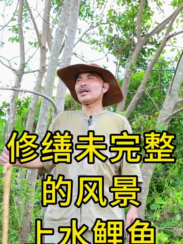 修缮未完整的风景,梁氏上水鲤鱼