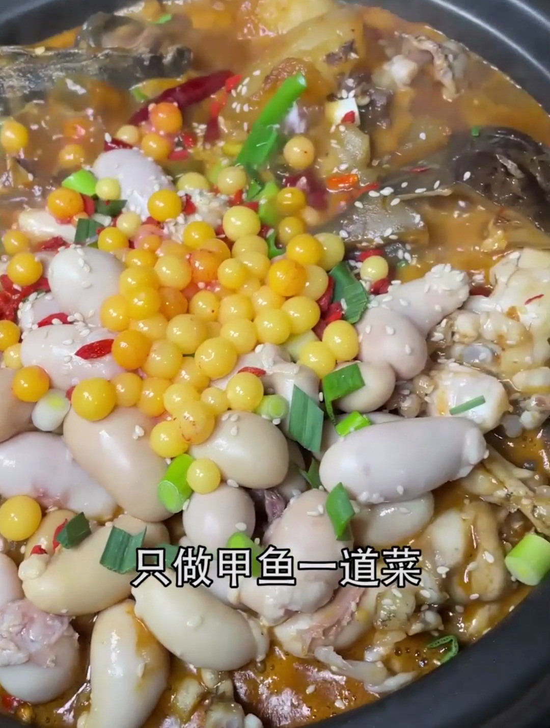 龙岗也能吃红烧甲鱼煲!一鱼三种吃法!