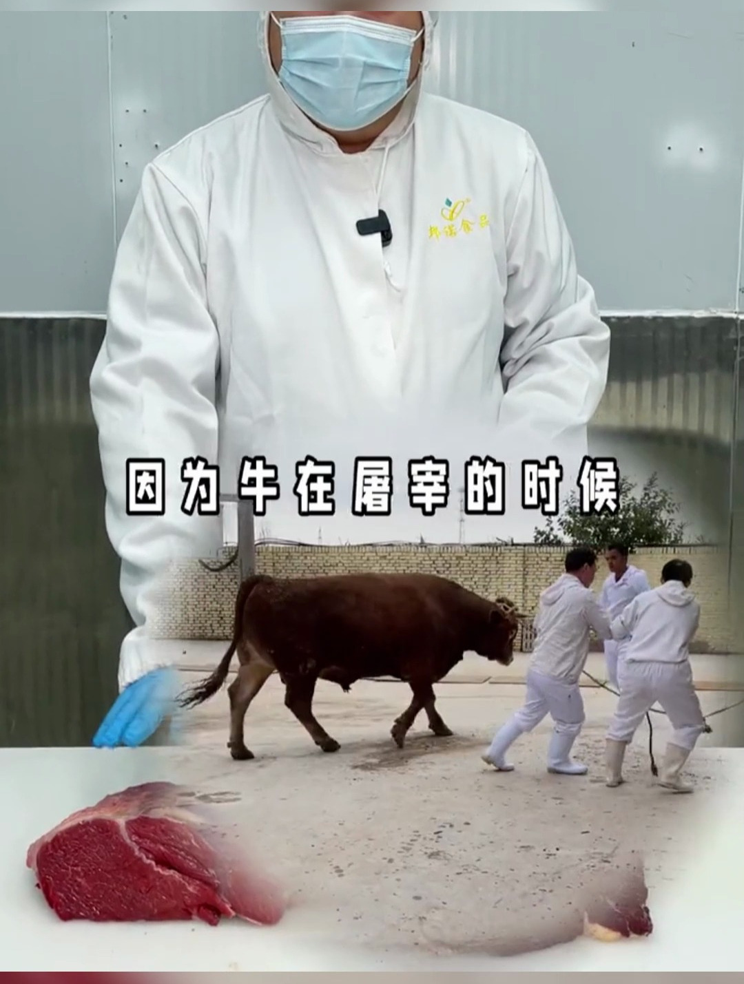 大家知道牛肉为什么要进行排酸呢?不知道的快来看一下吧