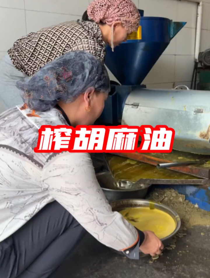 榨点胡麻油,胡麻油炒出来的菜有一种胡麻专属的香味