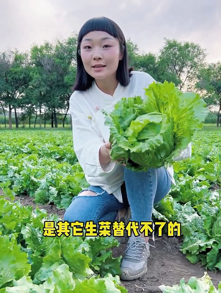 不用焯水可以直接生吃的蔬菜,莲藕上榜!很多人只知道生菜?
