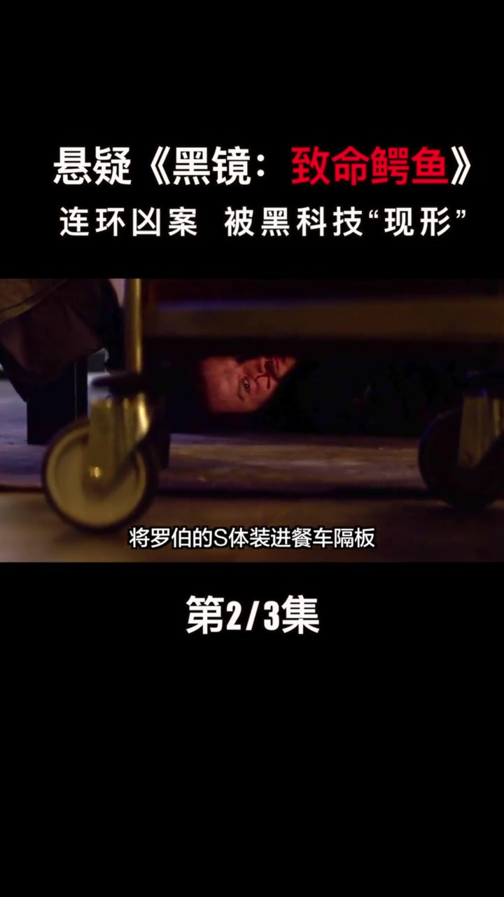 (2) 系列 .连环案件在黑科技下,无所遁形