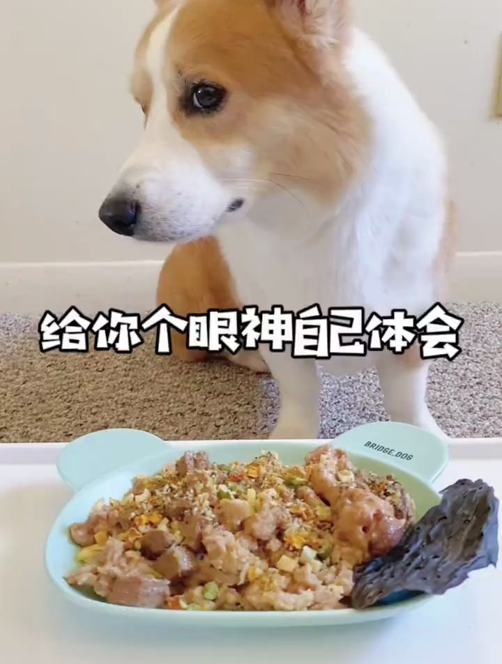 鲨鱼鸡翅煲佐&费城芝士牛排,给你个眼神自己体会