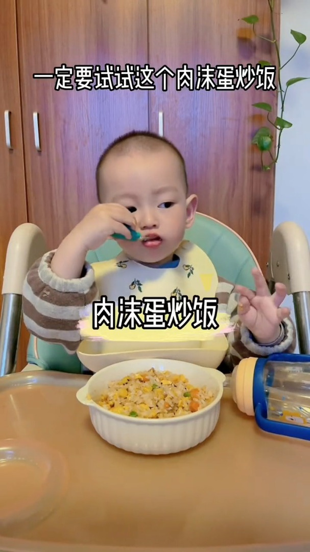 不爱吃饭的宝宝试试这个有肉有菜有蛋的时蔬肉末炒饭