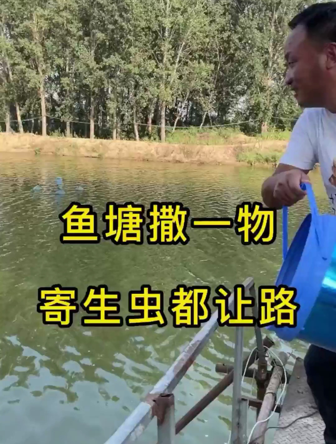 黄颡鱼小瓜虫、鲫鱼红线虫、花白鲢锚头蚤、腮部鱼虱等,就用它