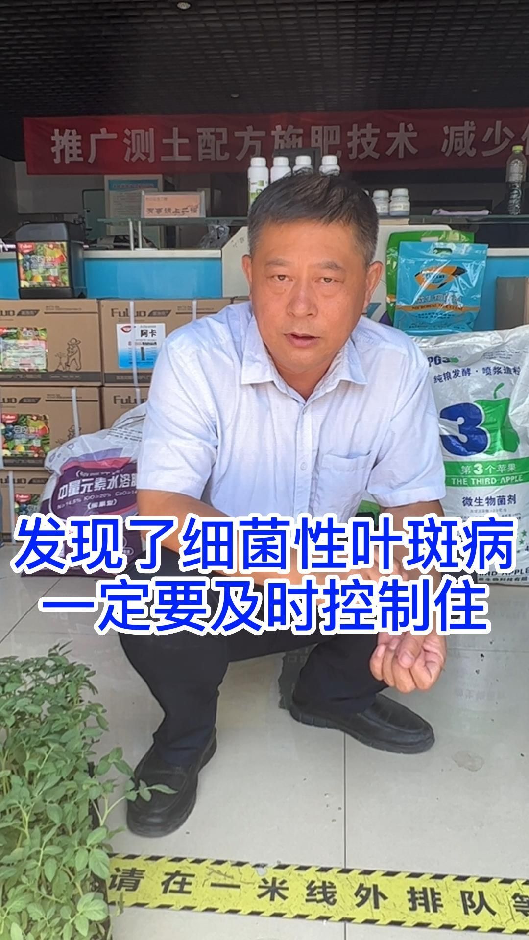 作物发现细菌性叶斑病,一定要及时控制住