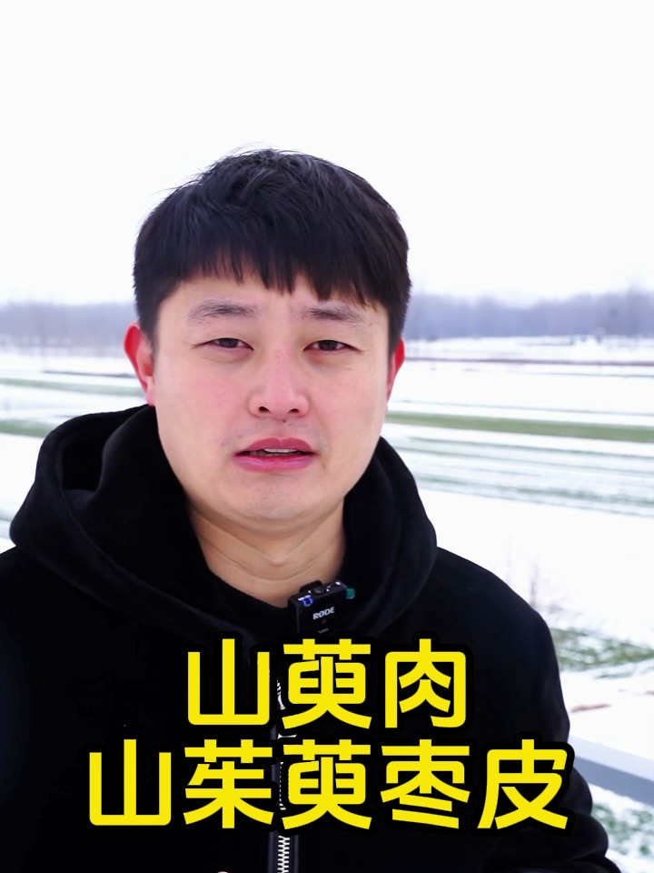 山萸肉山茱萸 枣皮泡水泡酒煲汤的功效与作用 搭配枸杞熟地黄川断