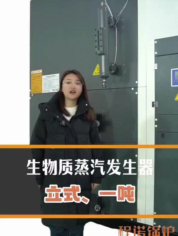 1吨生物质颗粒蒸汽发生器