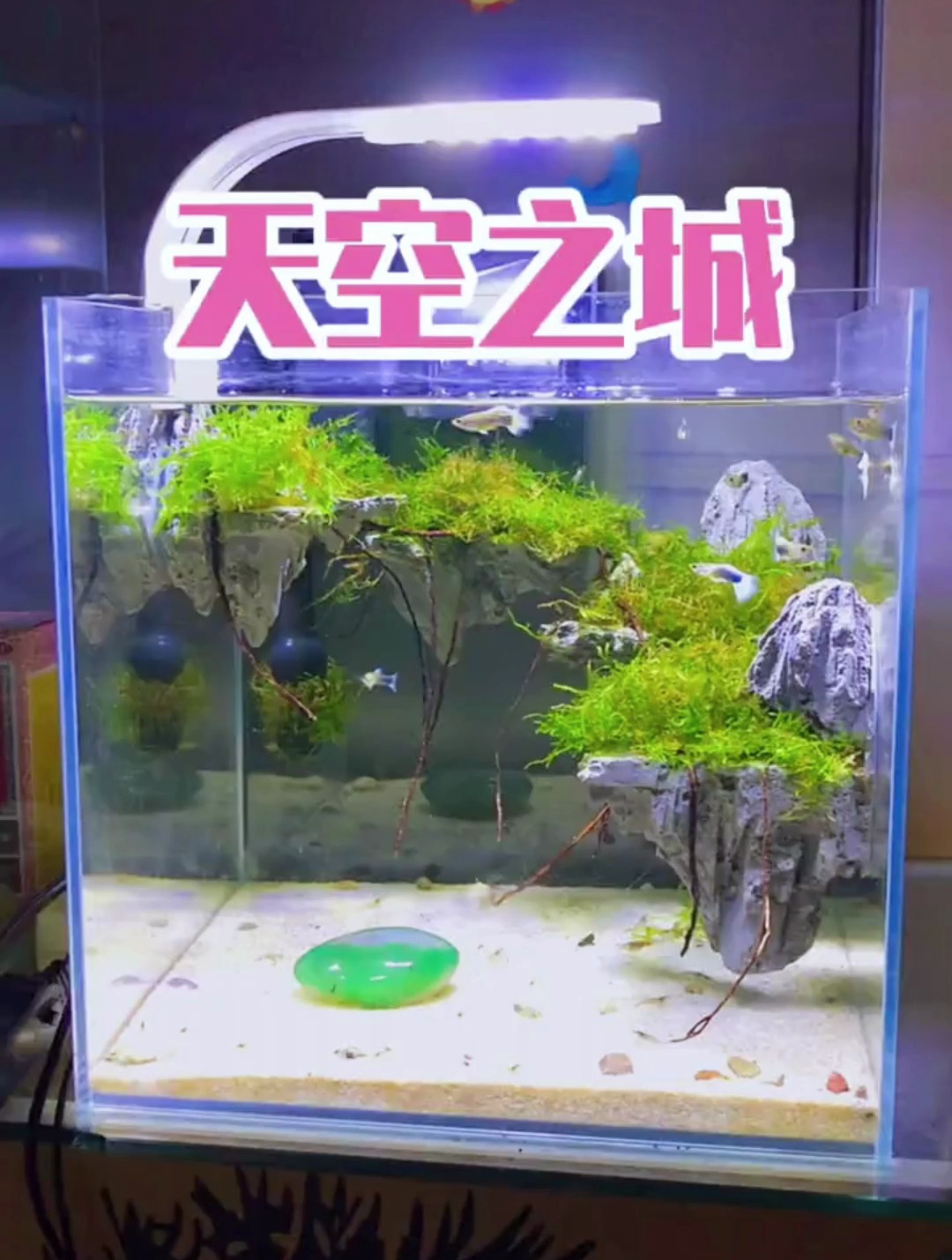 鱼缸里有个天空之城?做法真的很简单!