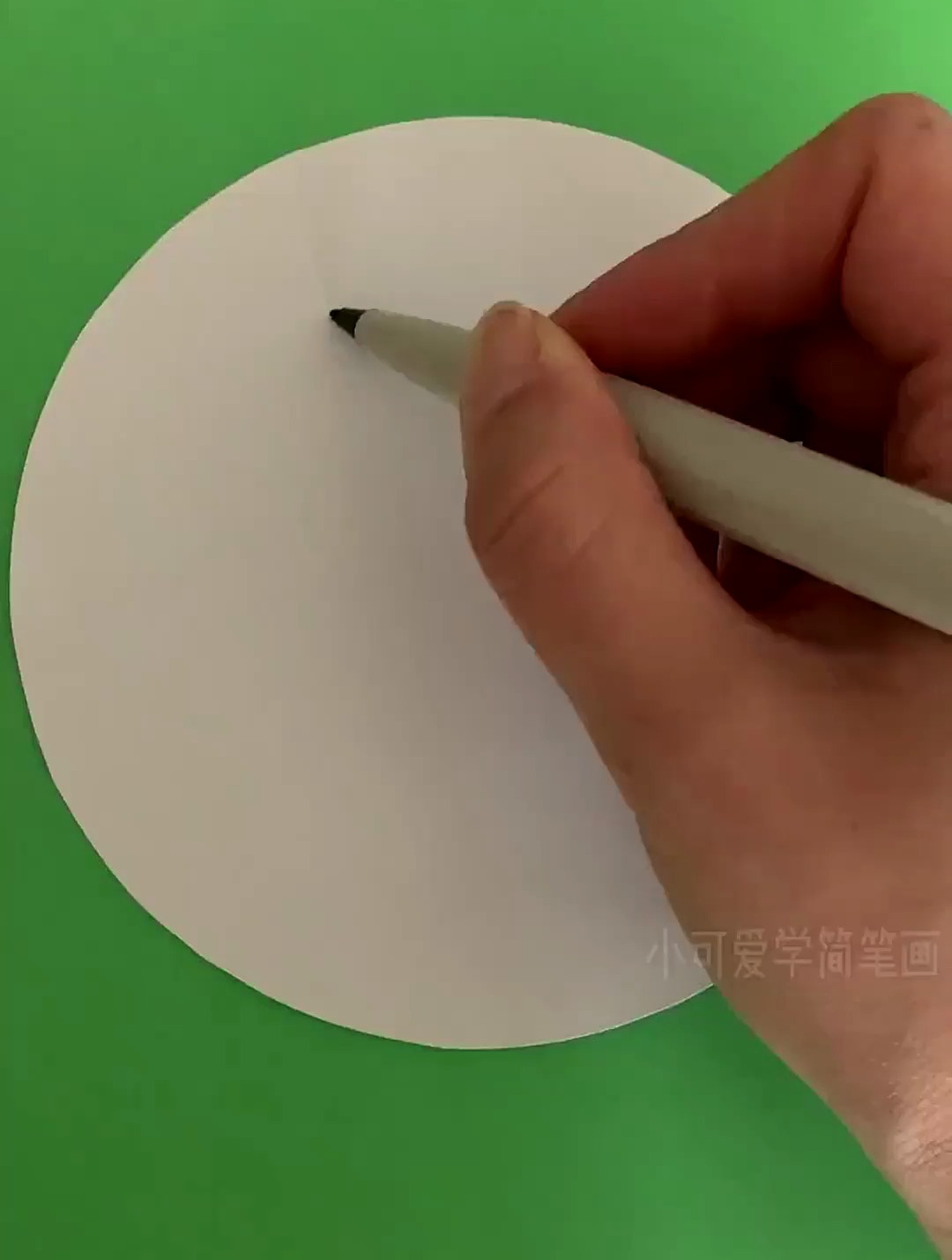 简单又好画的春天植物简笔画