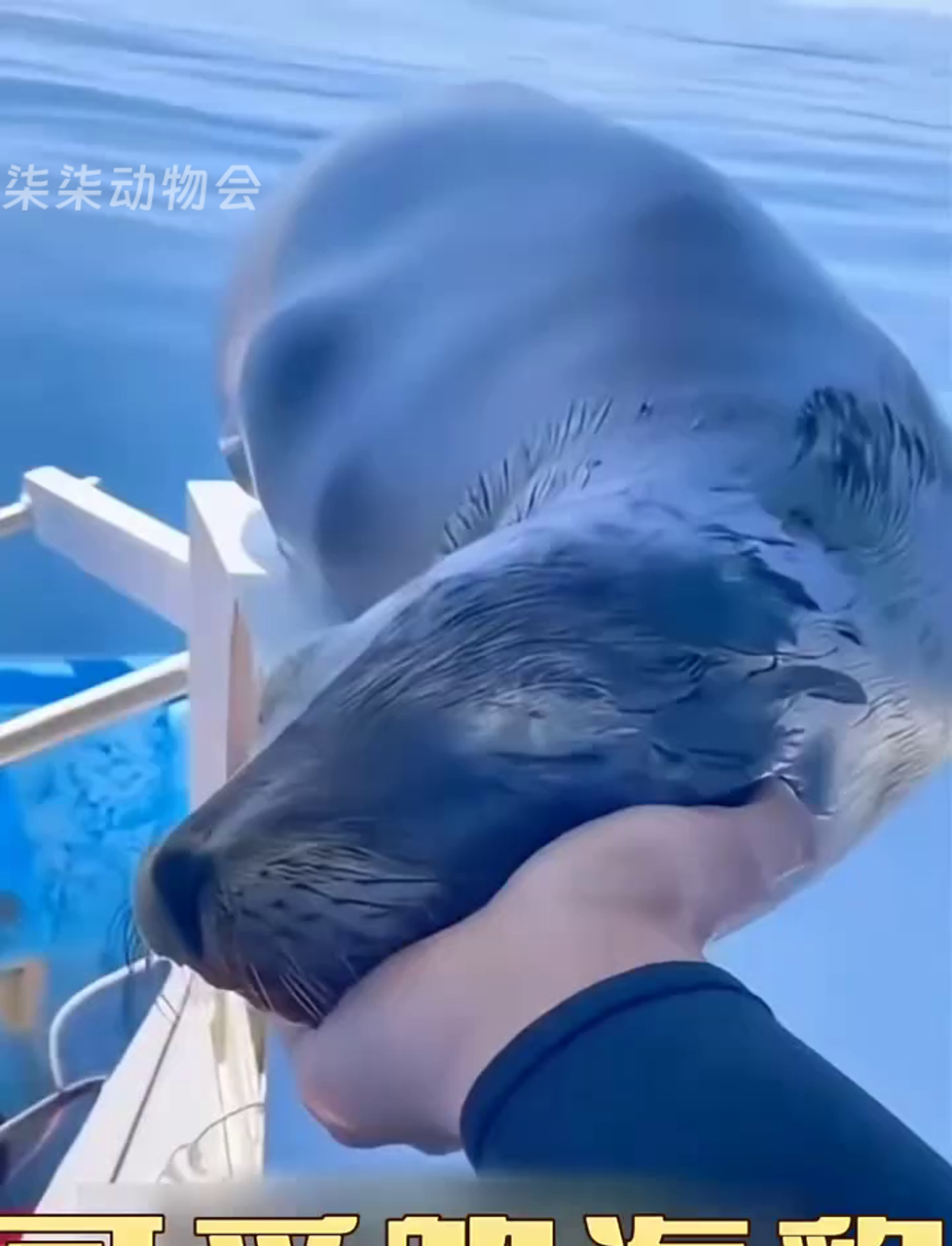 瞧见海报上钓鱼的,他总是死缠烂打要鱼吃