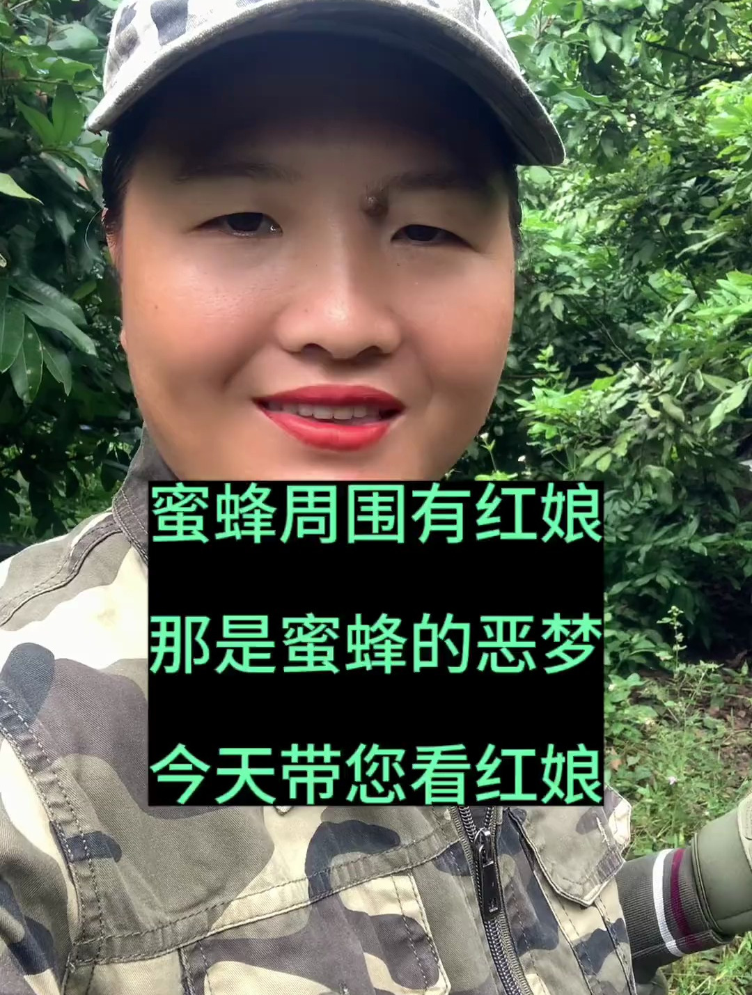 蜜蜂周围要是有红娘,那是蜜蜂的恶梦,红娘多数人工饲养