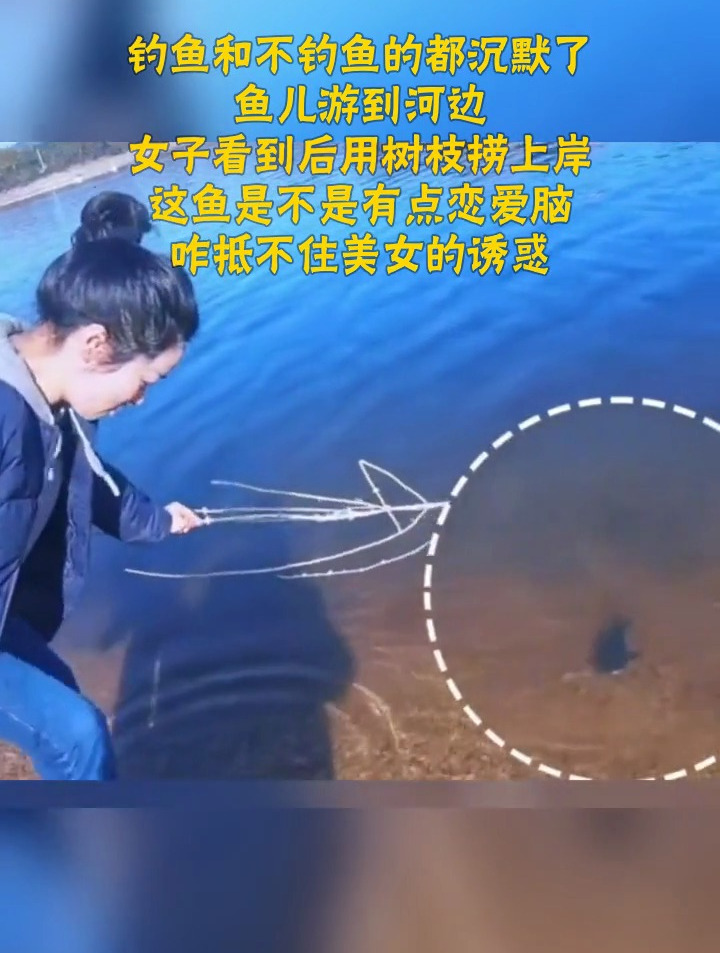 钓鱼和不钓鱼的都沉默了 鱼儿游到河边 女子看到后用树枝捞上岸 这鱼是不是有点恋爱脑 咋抵不