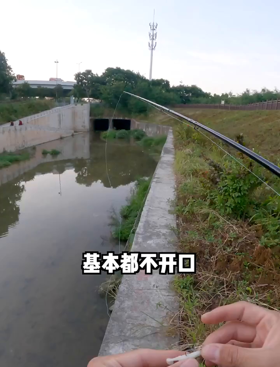 为啥咱俩爱去野外钓鱼，看完这视频你就明白啦！