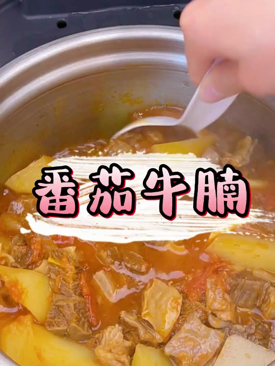 只用一个电饭锅 就可以做出不输饭店大厨的番茄炖牛肉 也太简单了