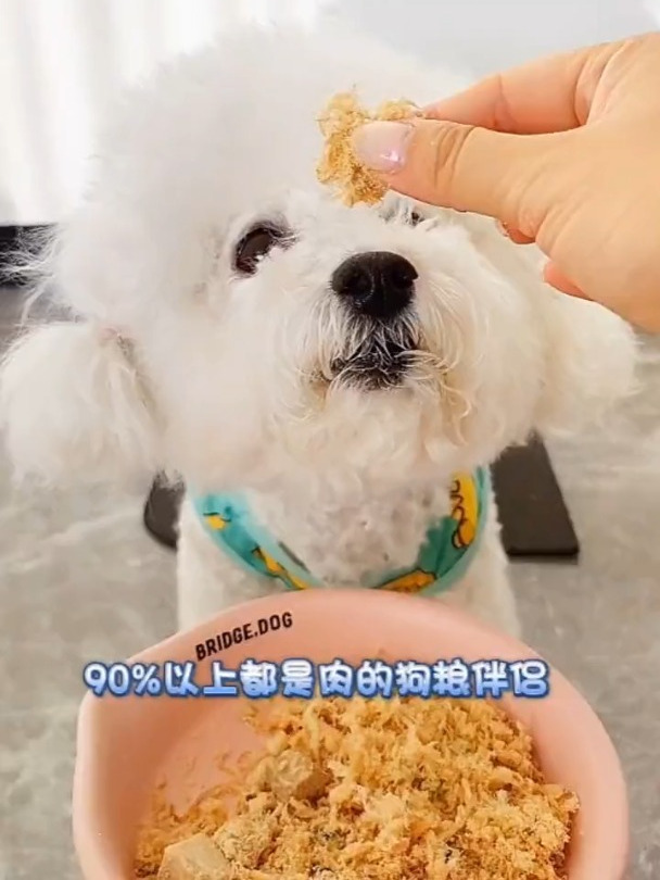 这款鸭肉松太香了,不信可以自己回去尝一下,肉松鲜美
