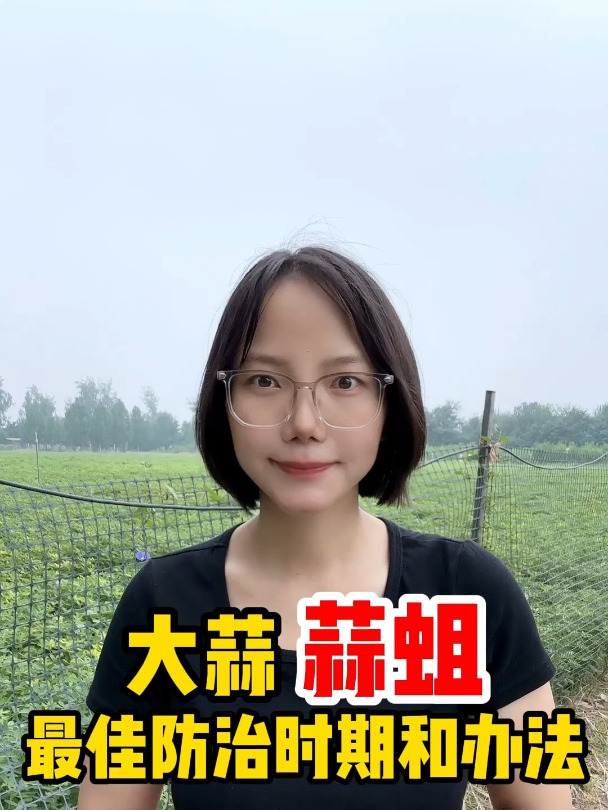 大蒜蒜蛆最佳防治时期和办法
