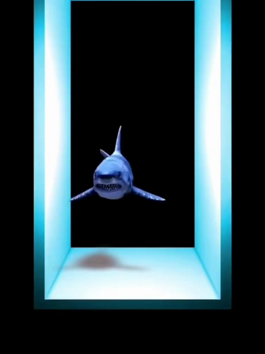 全息投影,3d大鲨鱼