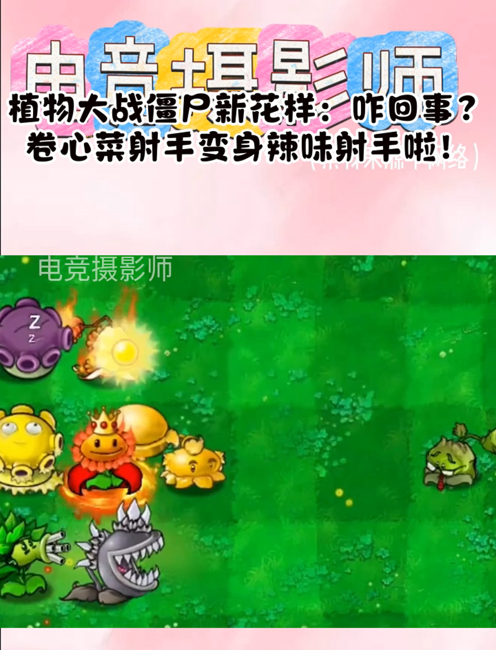 植物大战僵尸新花样:咋回事?卷心菜射手变身辣味射手啦!