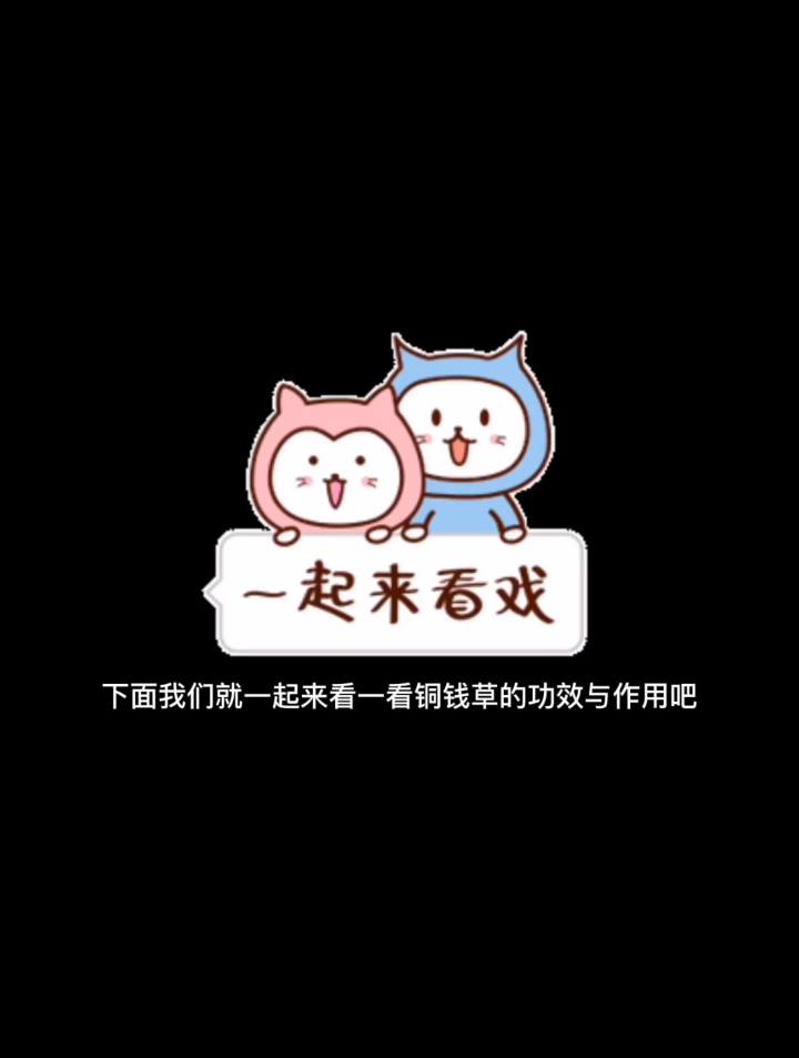 铜钱草真的有毒吗?今天就跟大家聊聊铜钱草的寓意和功效(上)~