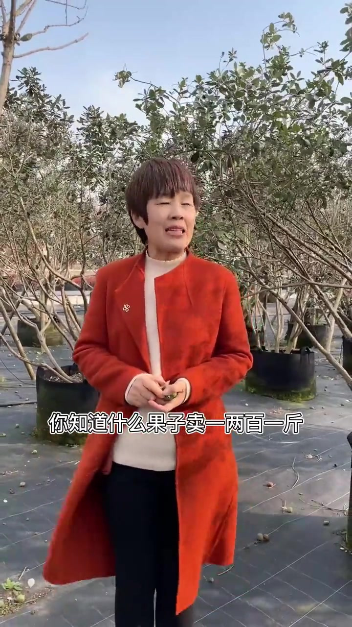 来一杯菲油果鸡尾酒吗?植物界优秀代表