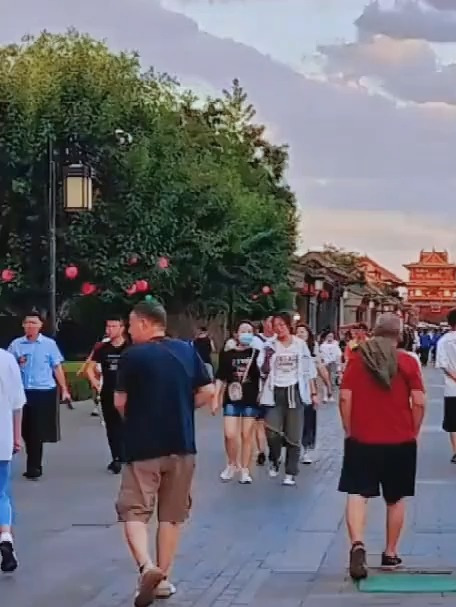 水培木耳菜种子,无土栽培营养液套装办公室桌面免打理蔬菜