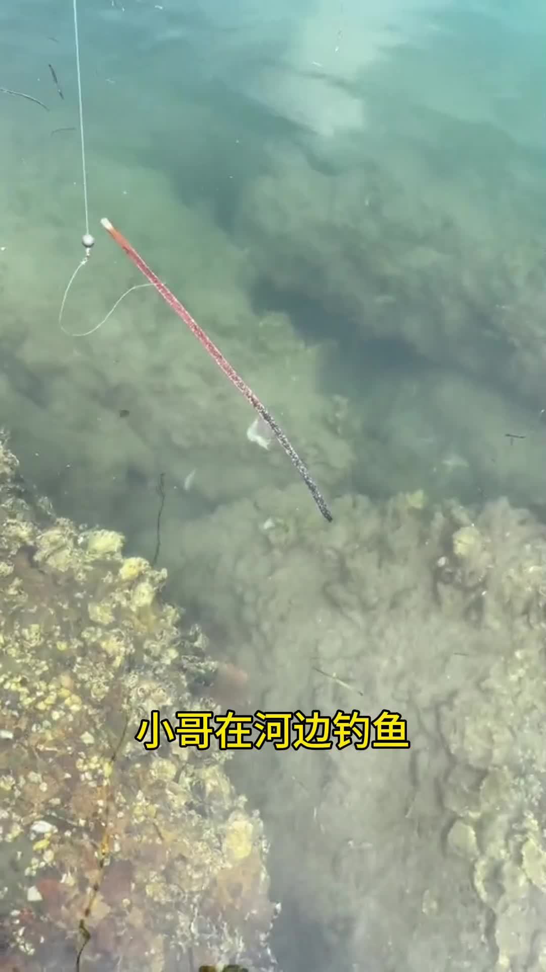 小伙钓鱼钓了条特别的鱼