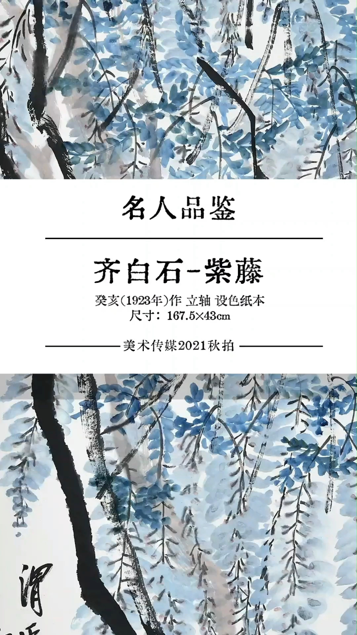 名人品鉴——文联副主席陈振濂解读齐白石作品《紫藤》