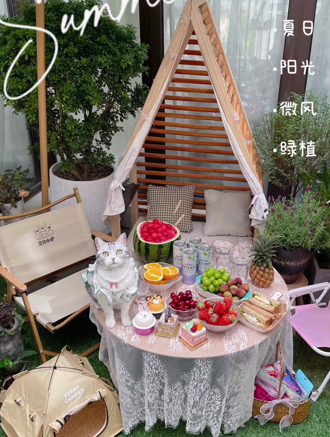 这就是快乐吹着初夏的小风带着泡芙和朋友们喝下午茶