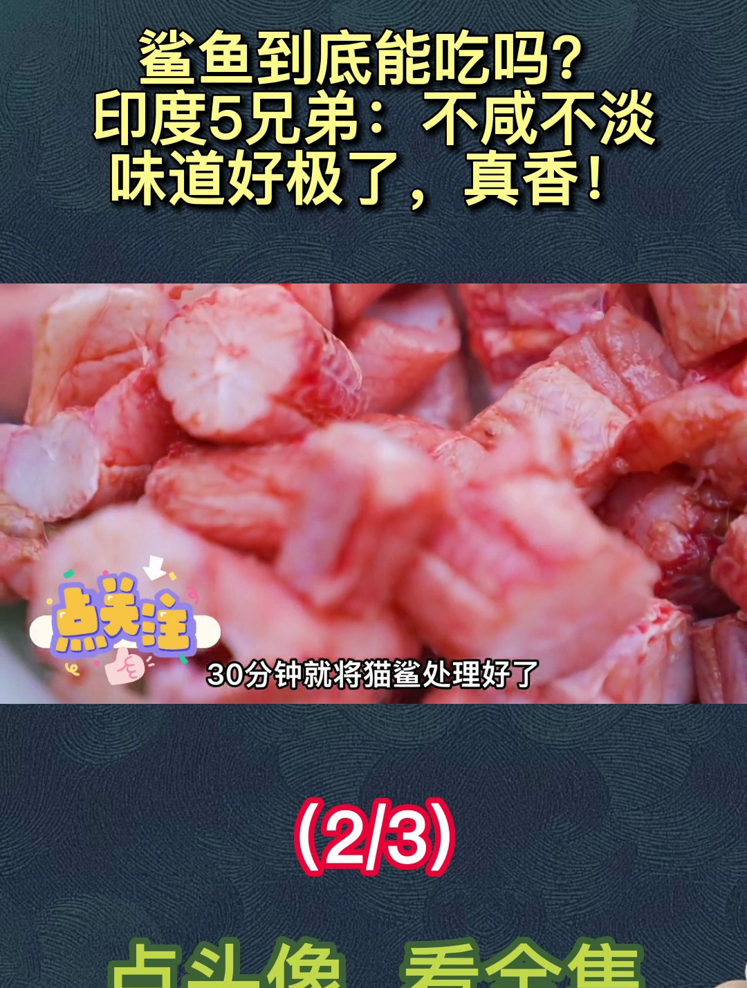 鲨鱼到底能吃吗?印度5兄弟:不咸不淡,味道好极了,真香!