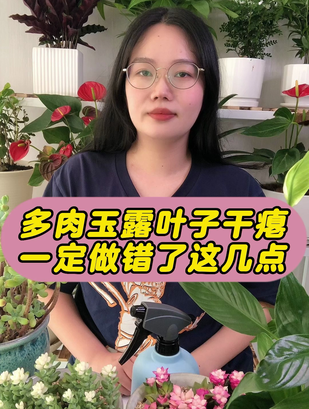 多肉玉露叶子干瘪看看这几点