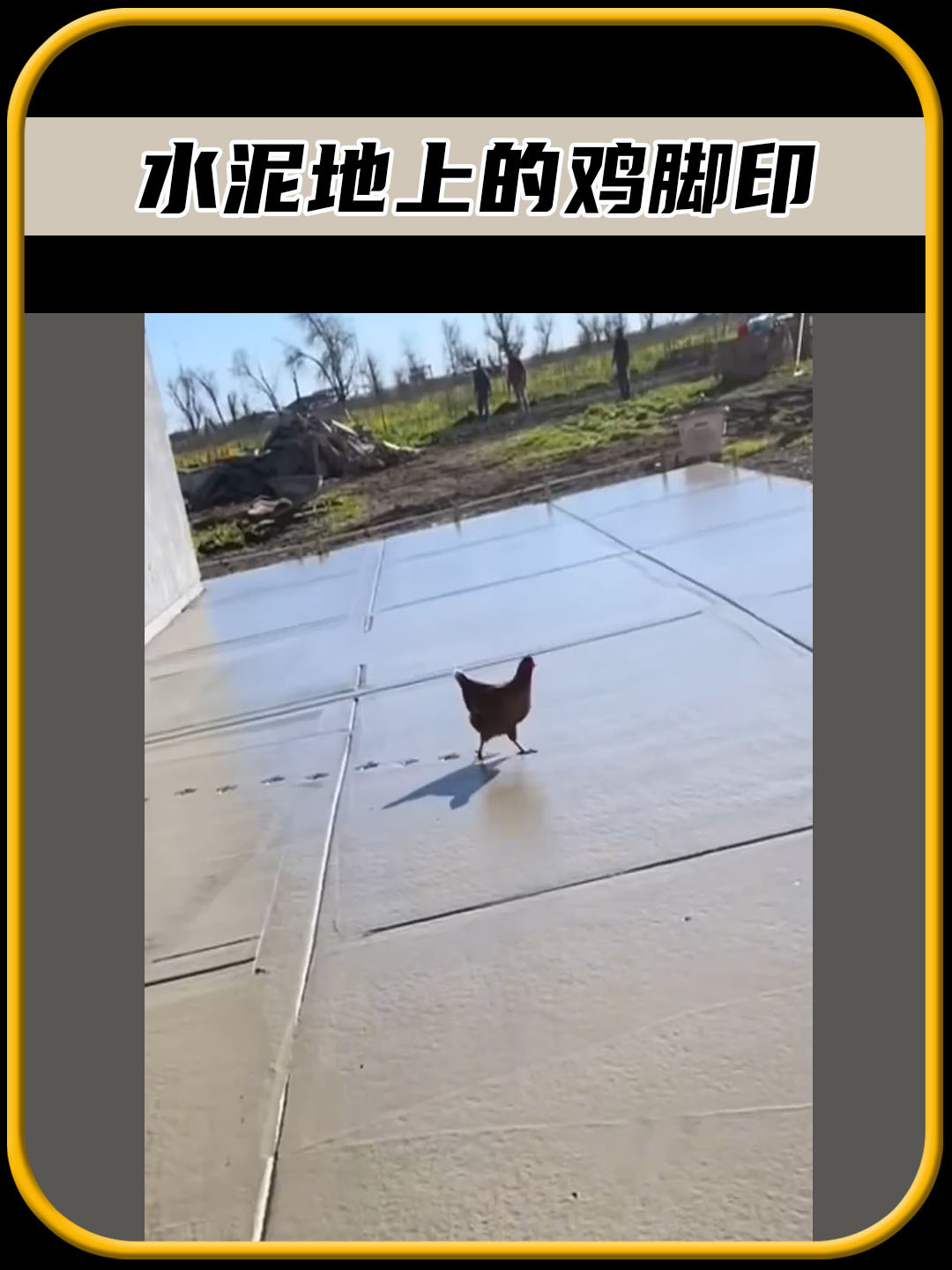 这真是千防万防,防不住鸡的脚印啊,真是太有趣了