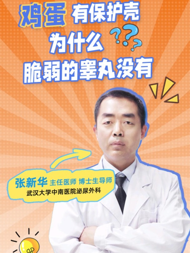 鸡蛋有保护壳,为什么脆弱的睾丸没有