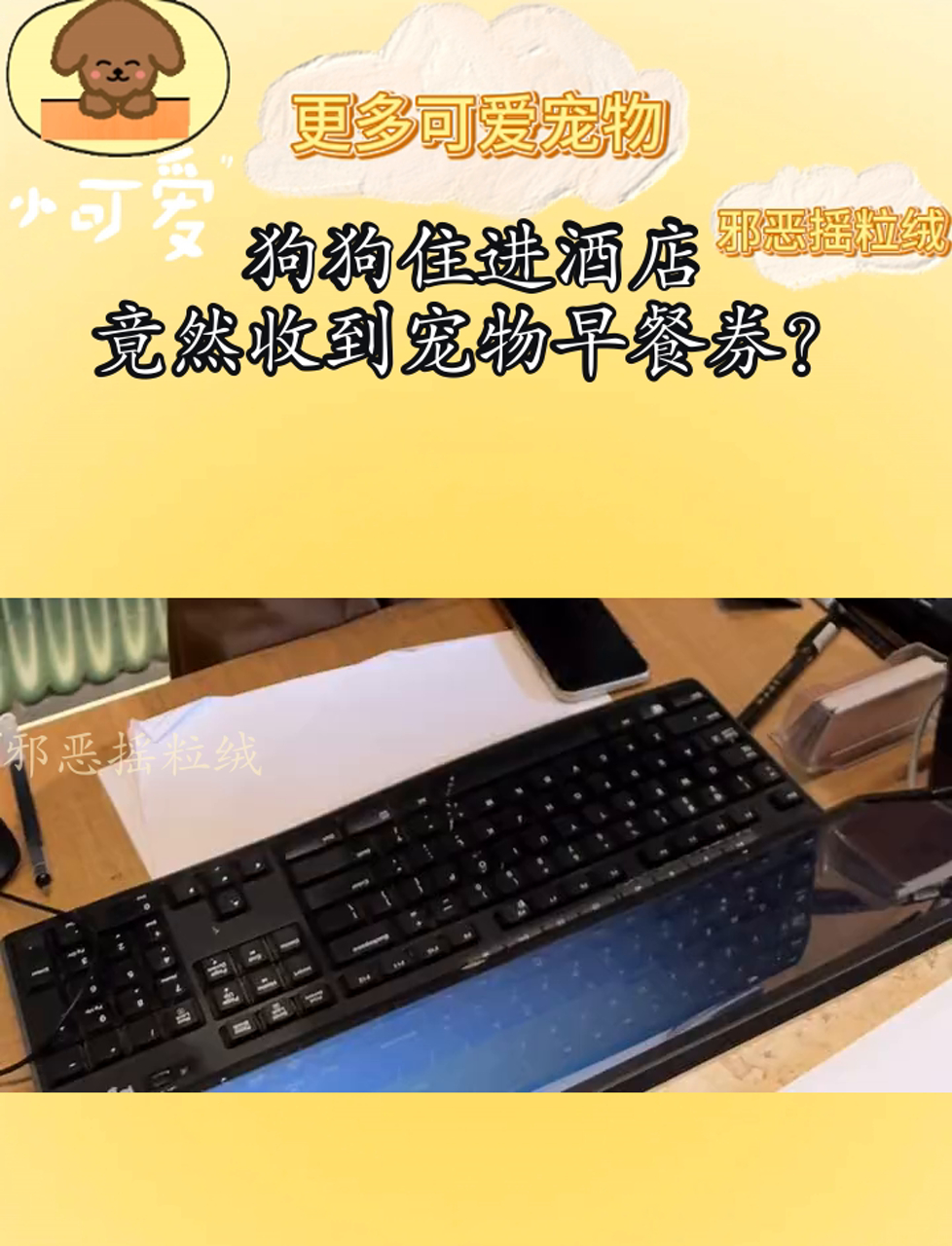 狗狗住进酒店,竟然收到宠物早餐券?