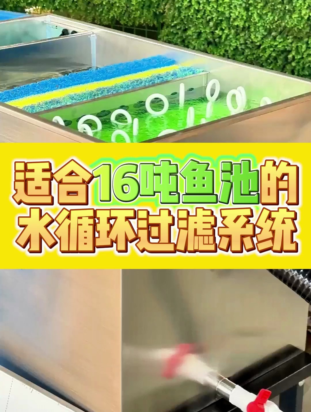适合16吨鱼池的水循环过滤系统