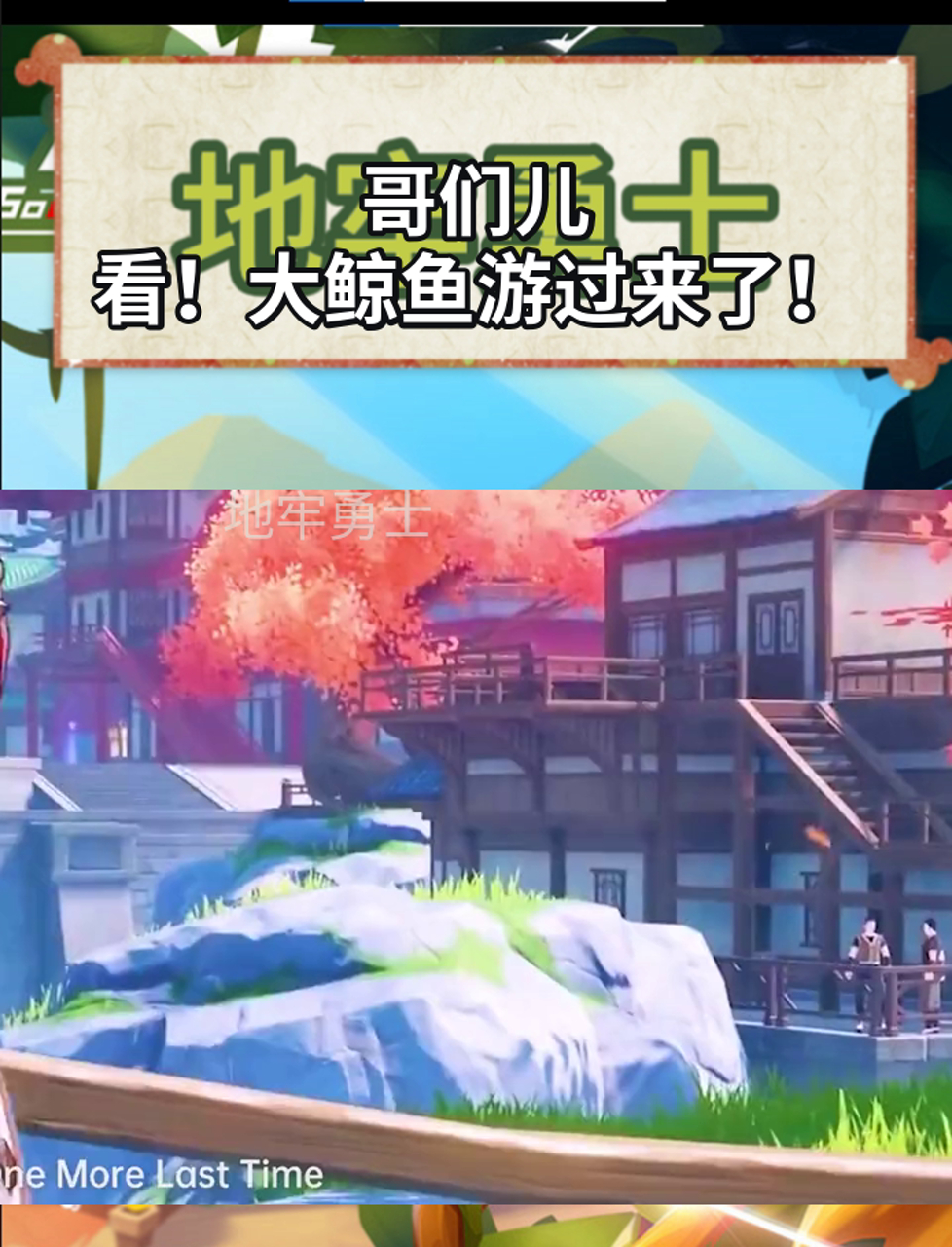 哥们儿,看!大鲸鱼游过来了!