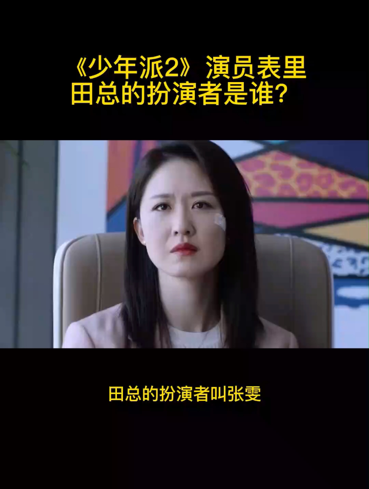 《少年派2》演员表里田总的扮演者是谁?