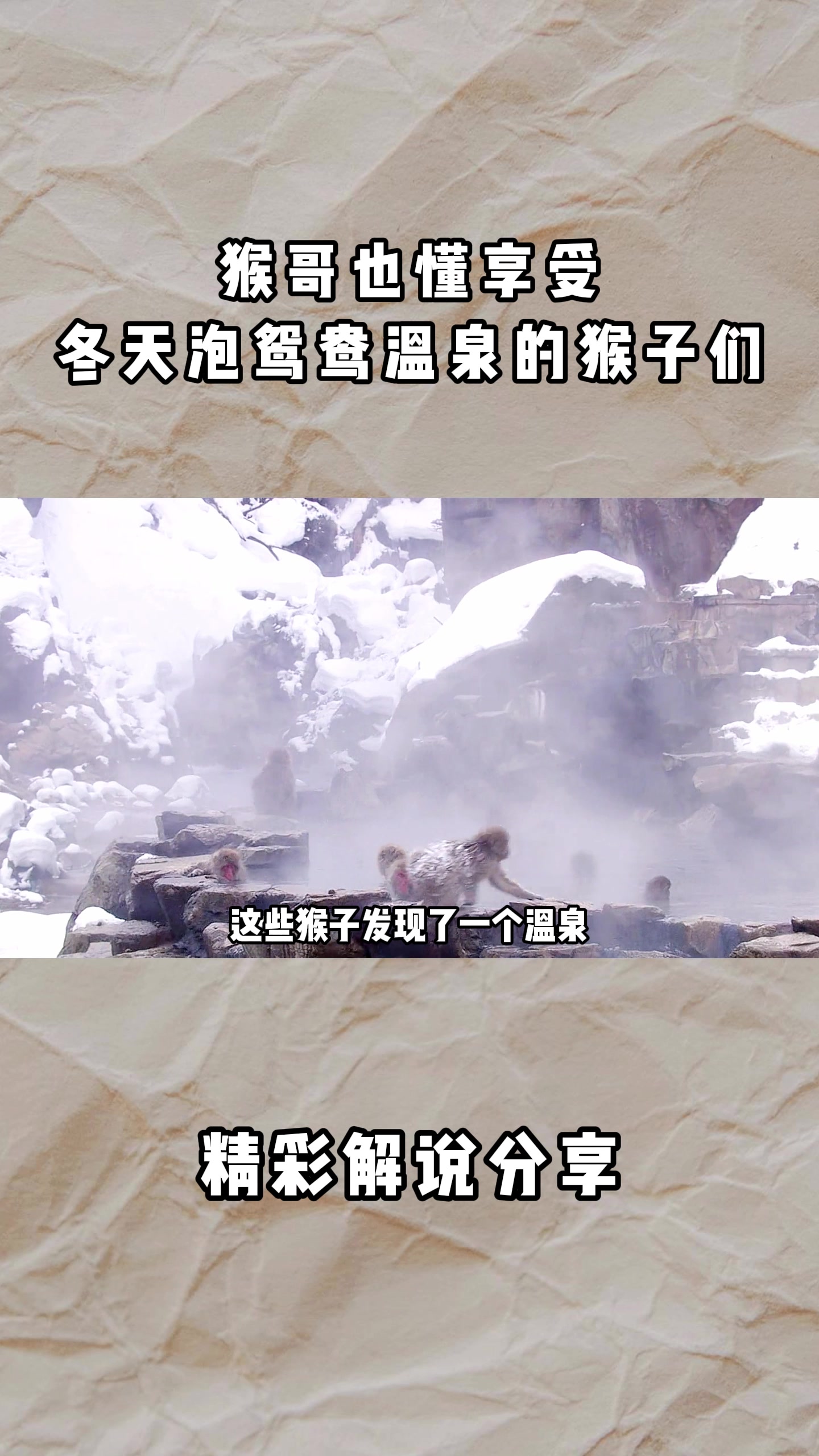 猴哥也懂享受,冬天泡鸳鸯温泉的猴子们