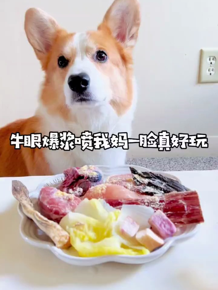 爆浆牛眼,重磅来袭!