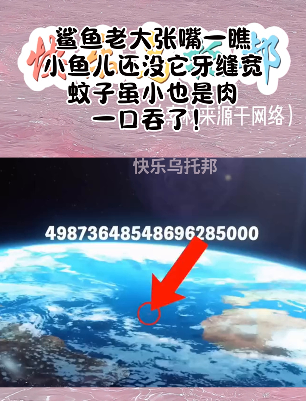 鲨鱼老大张嘴一瞧,小鱼儿还没它牙缝宽,蚊子虽小也是肉,一口吞了!
