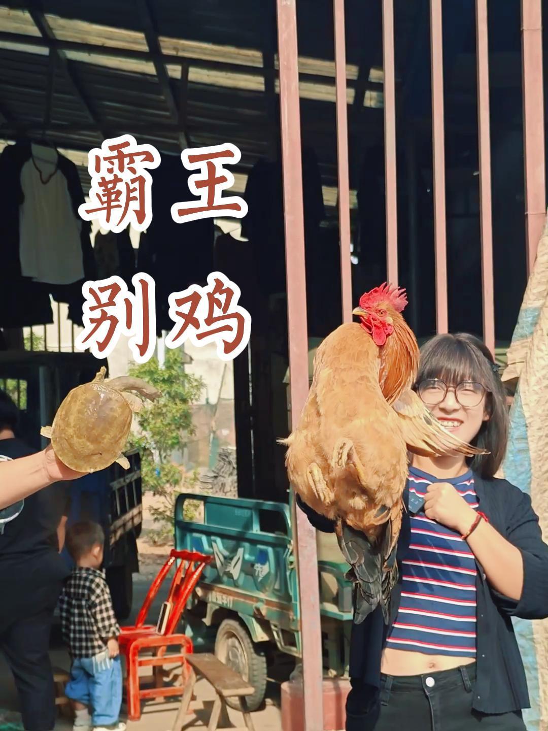 霸王别鸡:我敢说这是湖北最硬的菜!