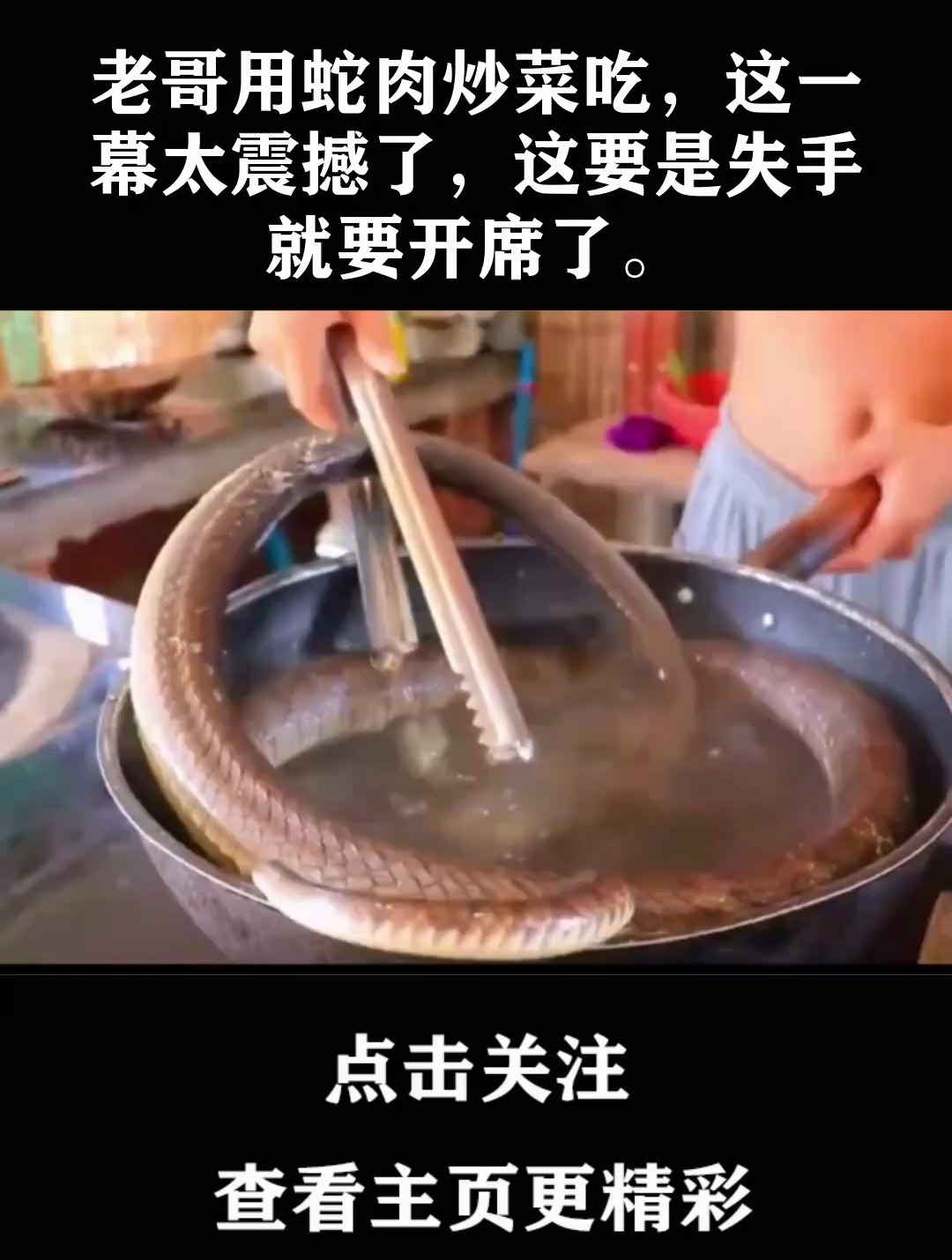 老哥用蛇肉炒菜吃,这一幕太震撼了,这要是失手就要开席了
