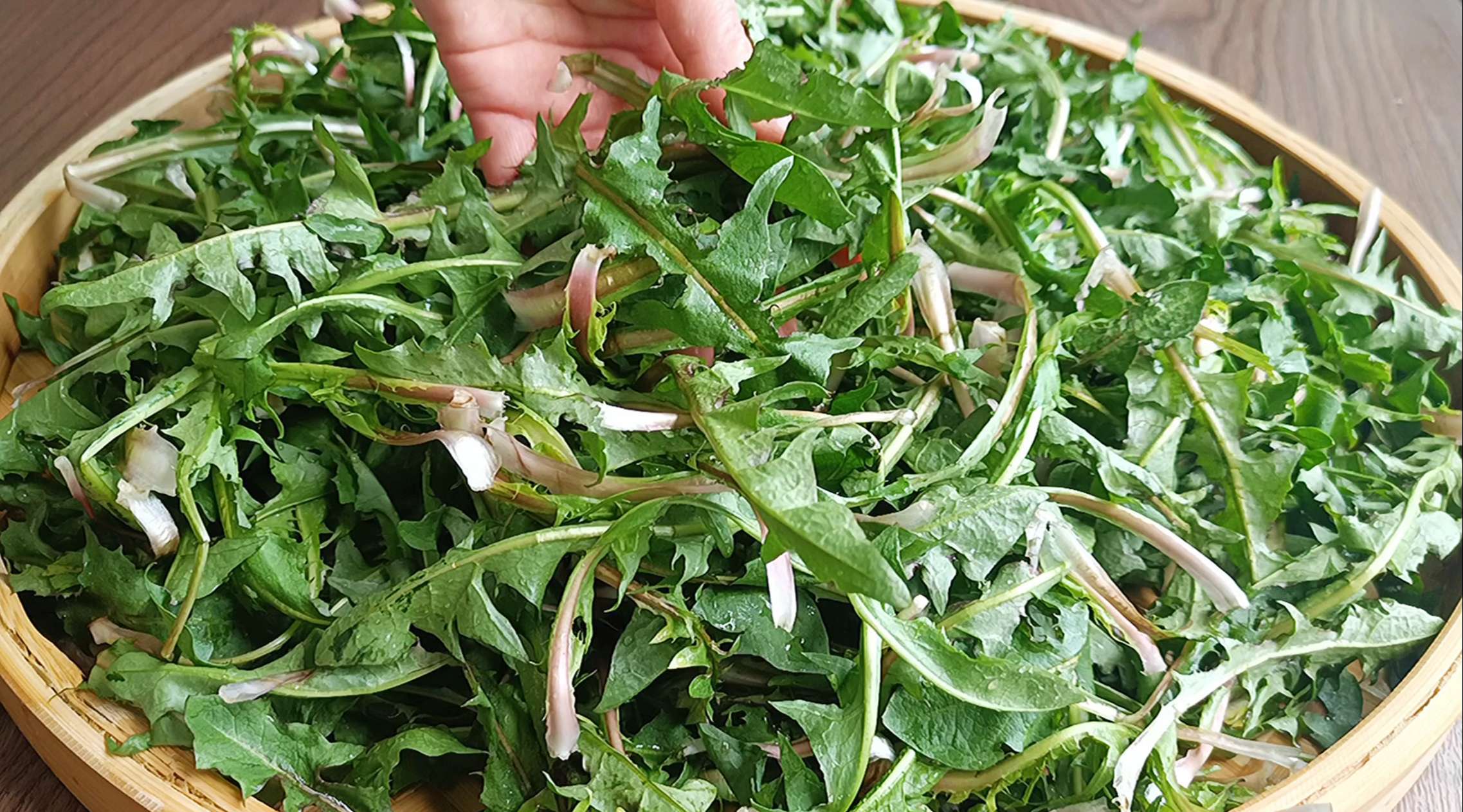 私藏多年蒲公英茶炒制的经验,没有苦涩只有茶香,泡水喝好处多多