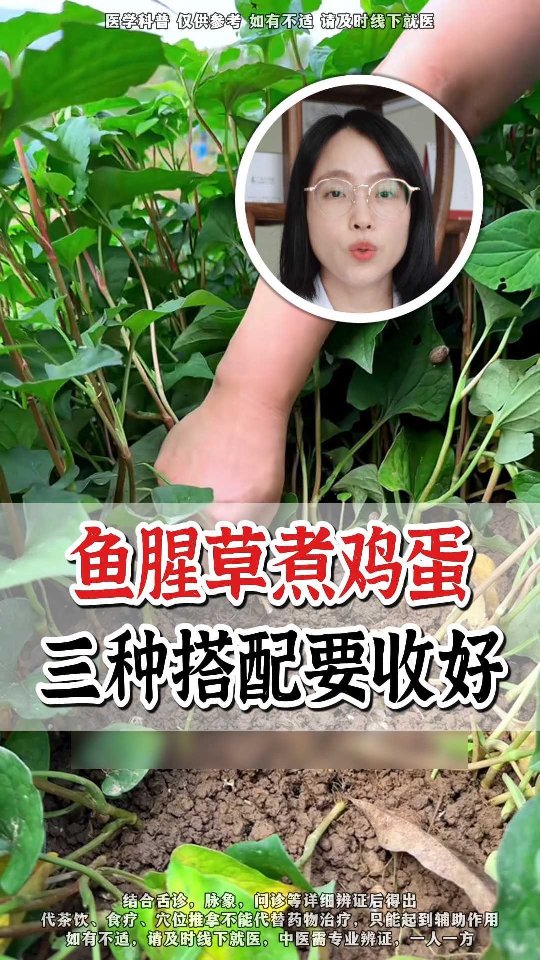鱼腥草煮鸡蛋 三种搭配要收好