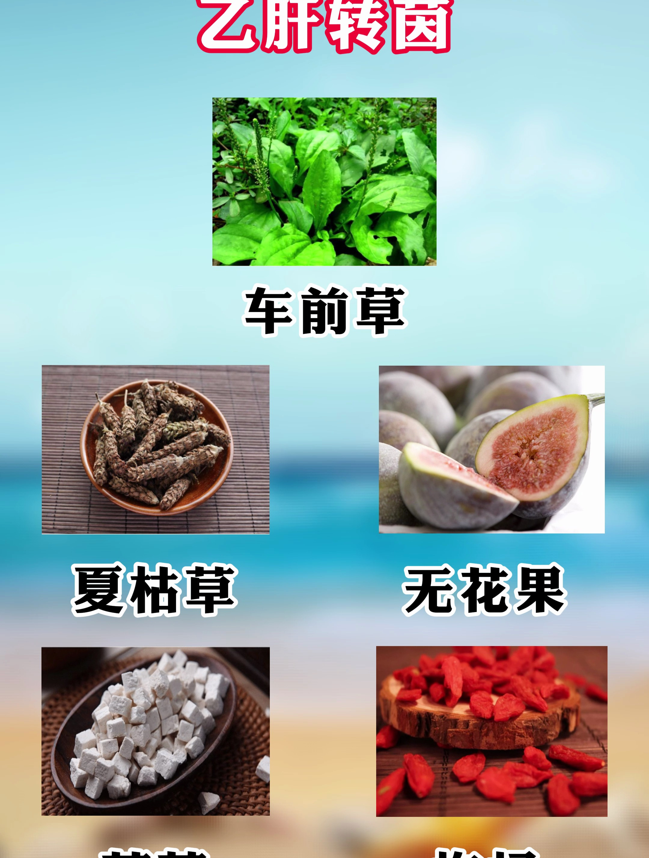五味乙肝常见的中药