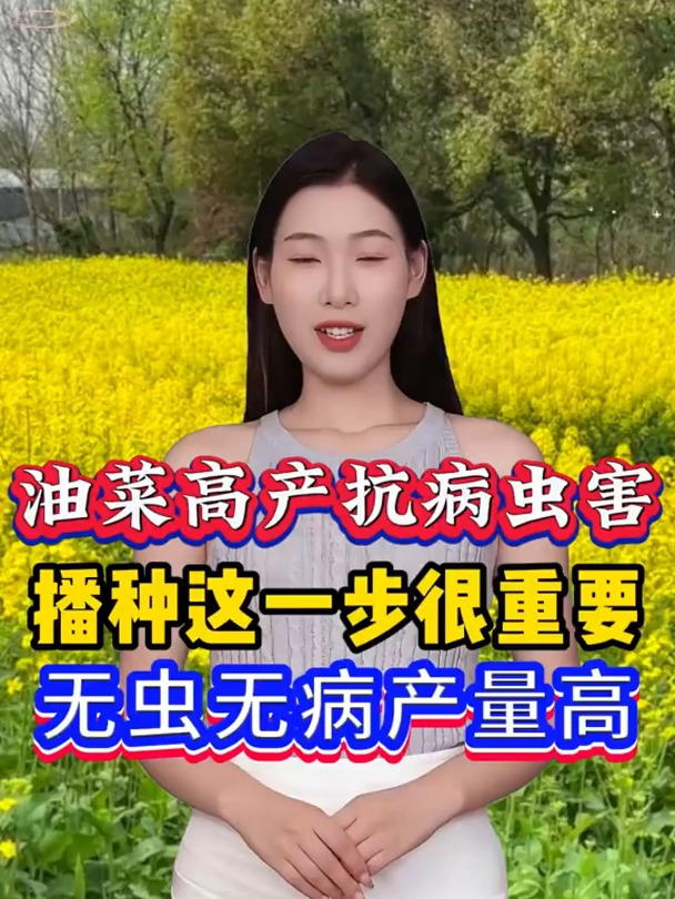 大蒜出苗后的第一遍药,打什么?能让大蒜病害少产量高